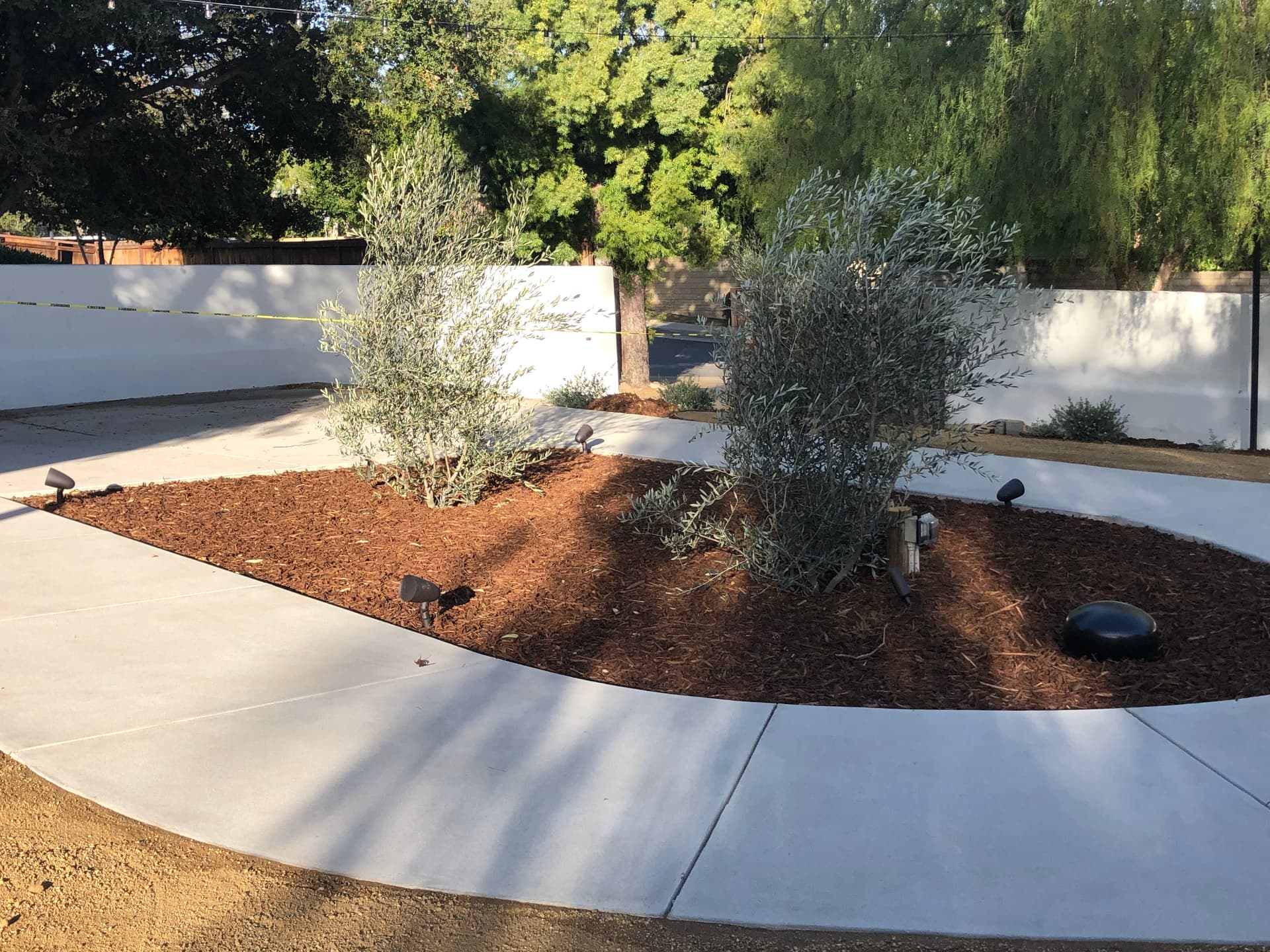 Professionally landscaped backyard with pathway speakers and low-voltage lighting integrated into mulch beds
